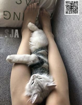 国内免费人妻精品视频在线_720免费观看
